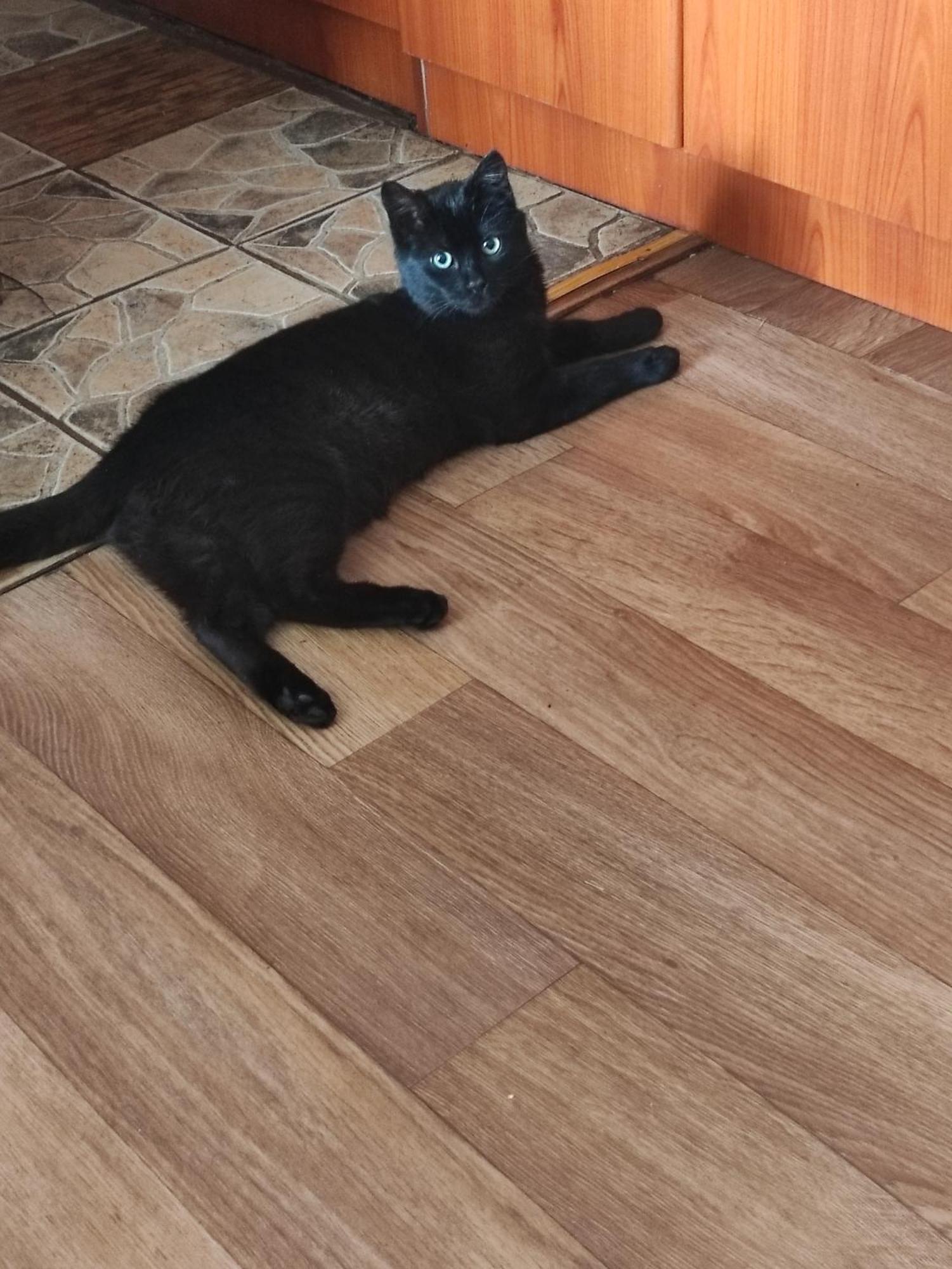 Durmitorska Koliba Sa Kupatilom Villa Žabljak Kamer foto