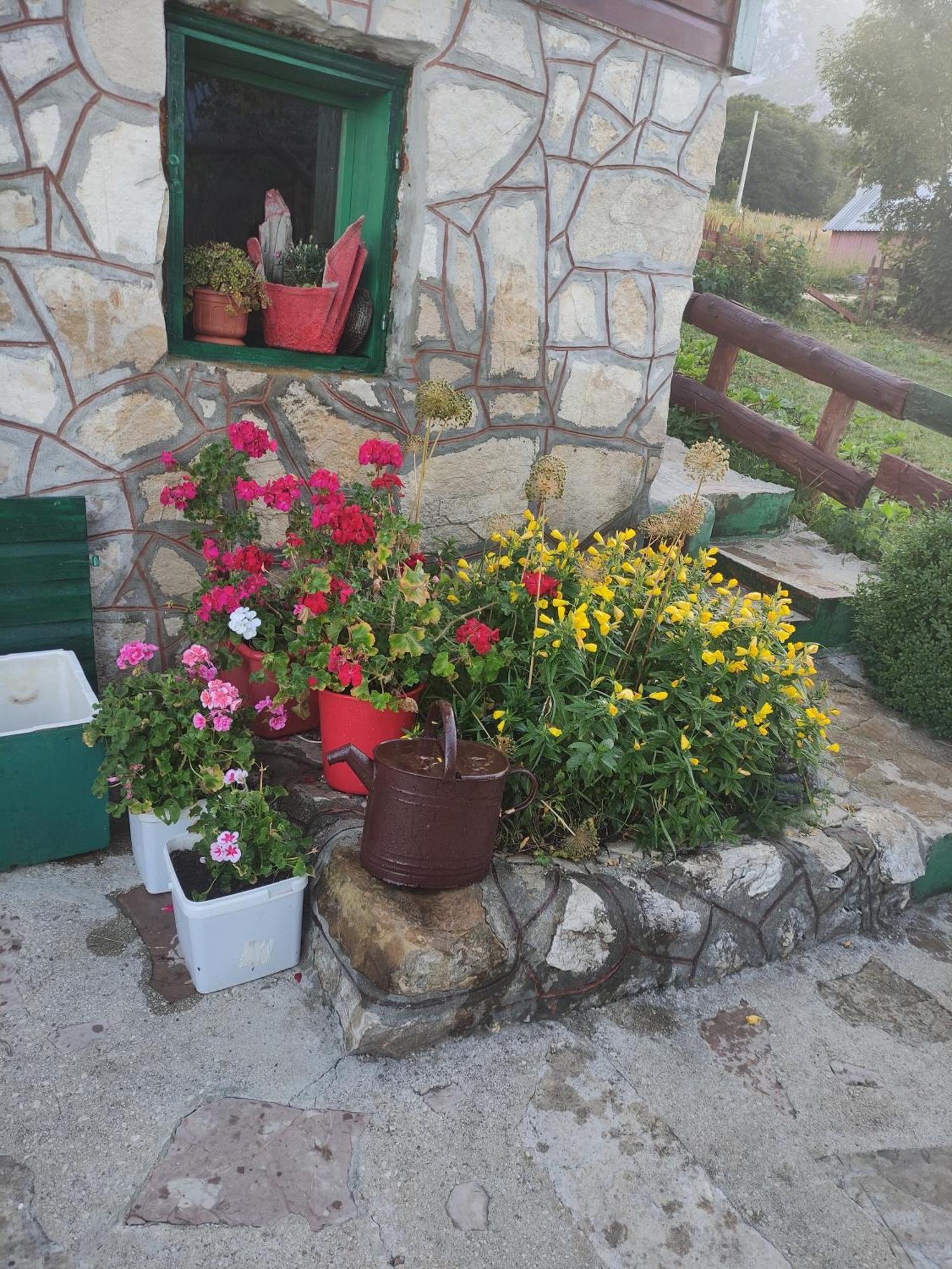 Durmitorska Koliba Sa Kupatilom Villa Žabljak Kamer foto