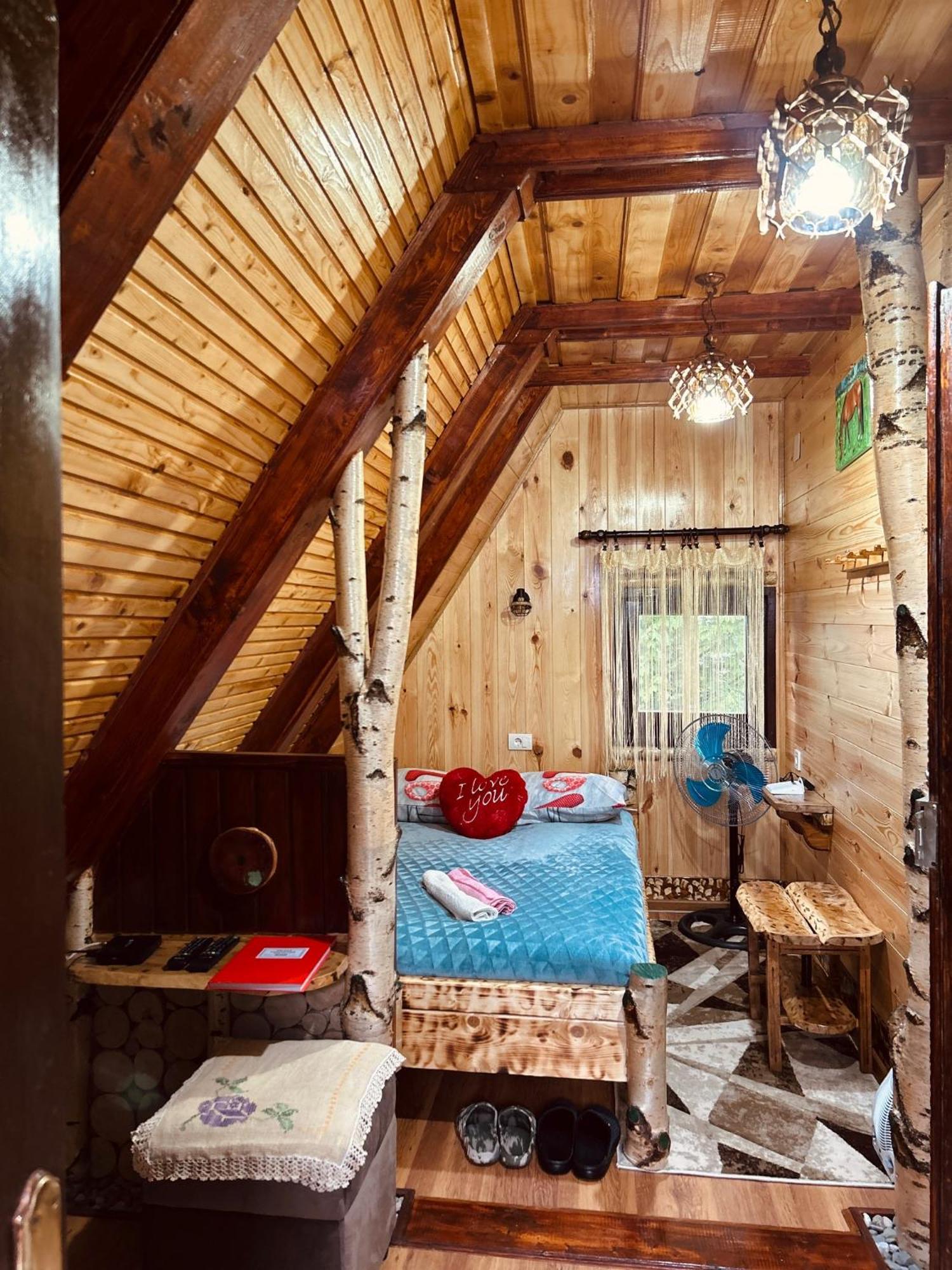 Durmitorska Koliba Sa Kupatilom Villa Žabljak Buitenkant foto
