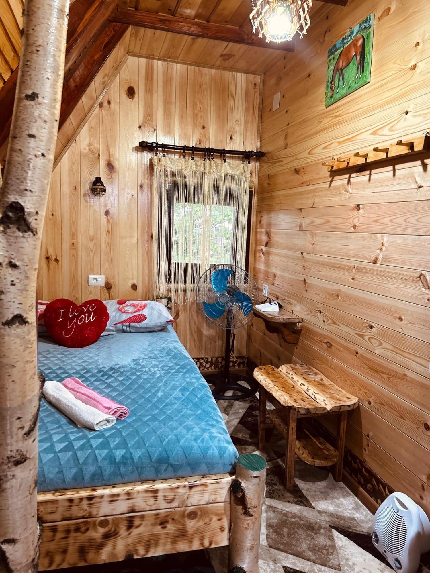 Durmitorska Koliba Sa Kupatilom Villa Žabljak Buitenkant foto