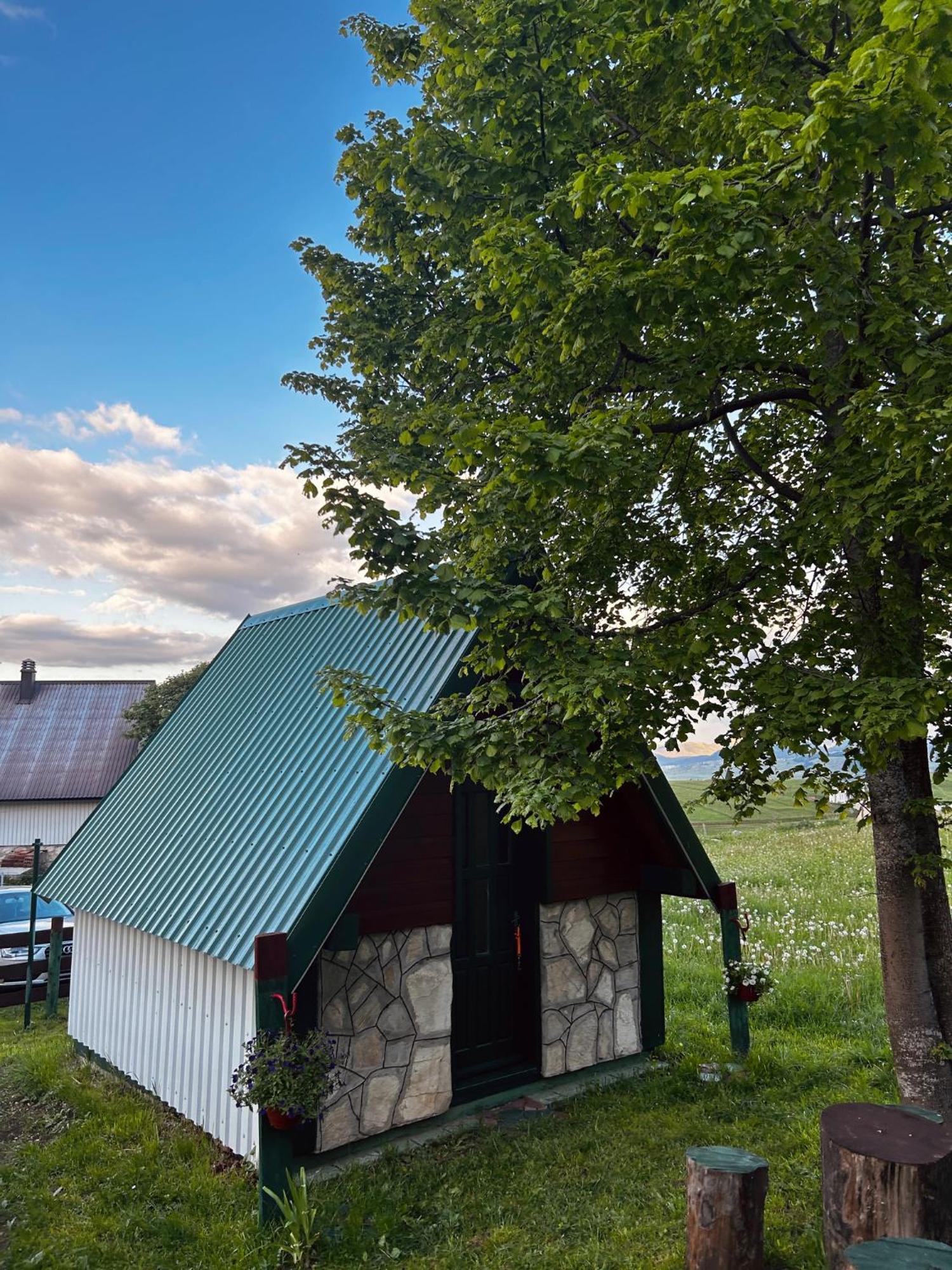 Durmitorska Koliba Sa Kupatilom Villa Žabljak Buitenkant foto
